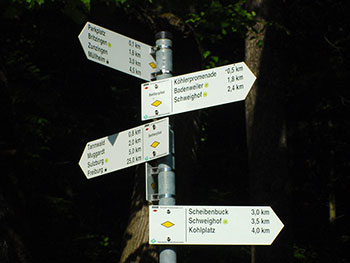 Beschilderte Wanderwege führen in den Schwarzwald
