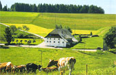 Gasthaus Pension Zum Löwen Grafenhausen Balzhausen Rothauser Land Schluchsee Schwarzwald