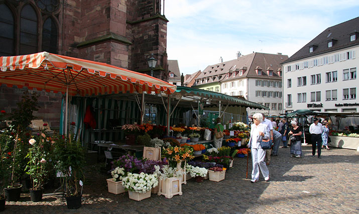 Markt auf dem Freiburger Münsterplatz bei Merzhausen