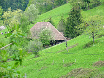 Schwarzwaldhaus  in Münstertal